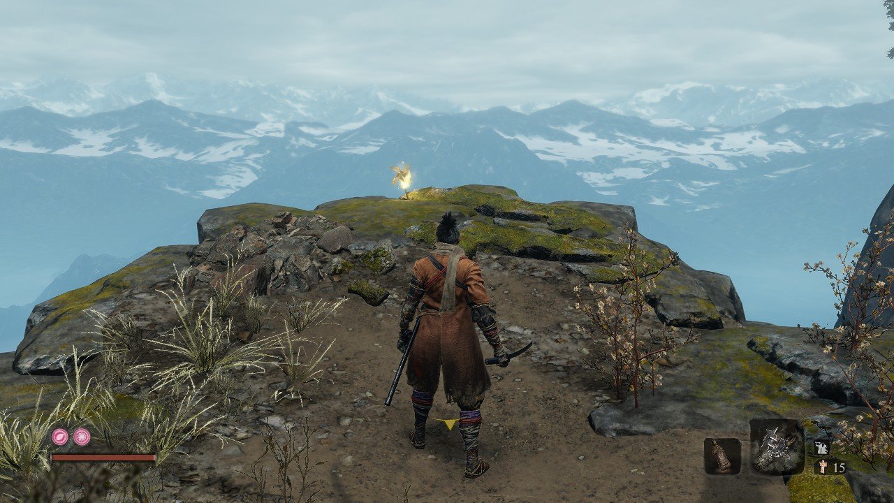 荒野大镖客2 终极版 截图12